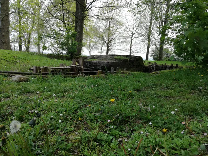 Bayernwald, Wijtschate, Heuvelland (Belgium)